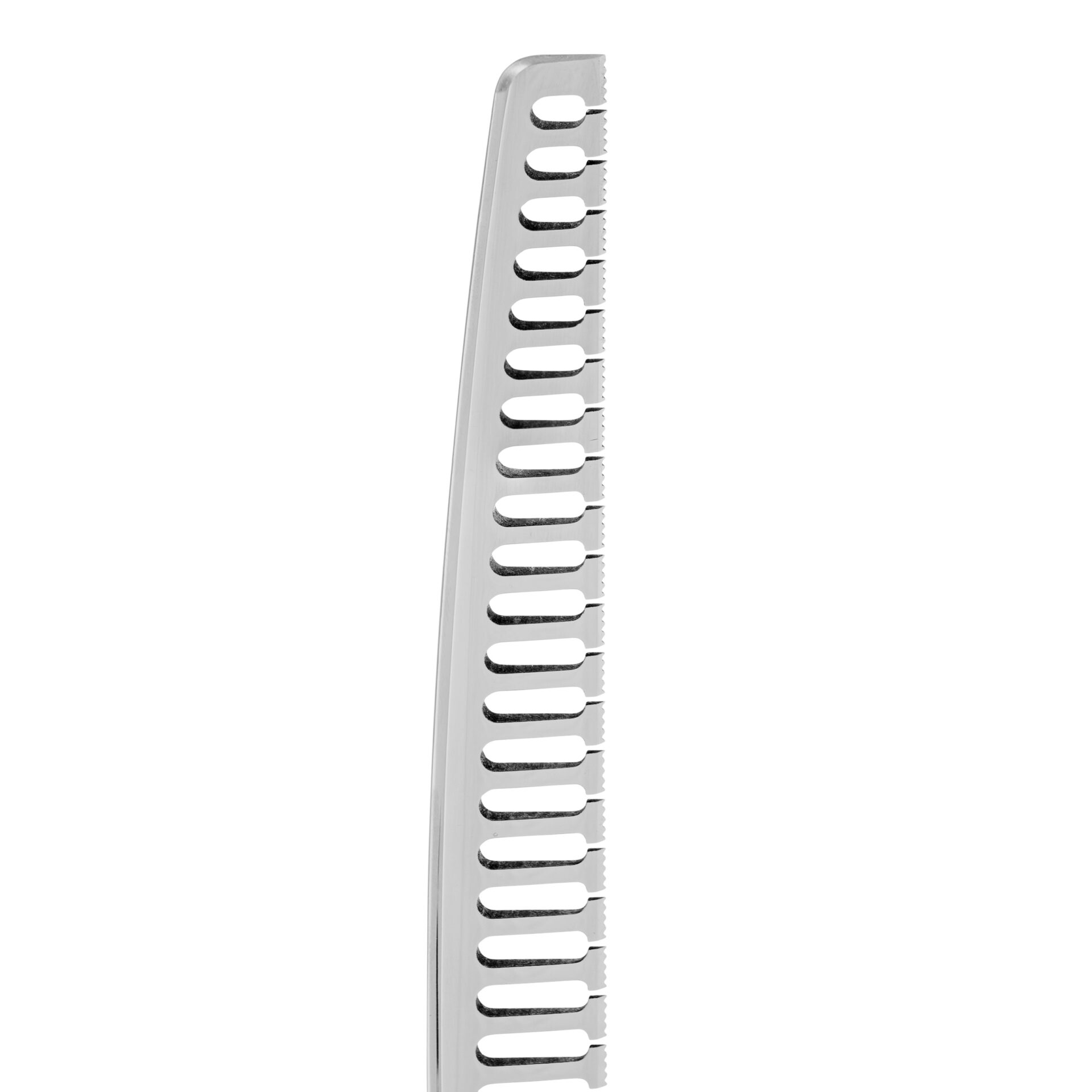 MAXIMA 24T - 15° Super Blenders Curve - immagine 4